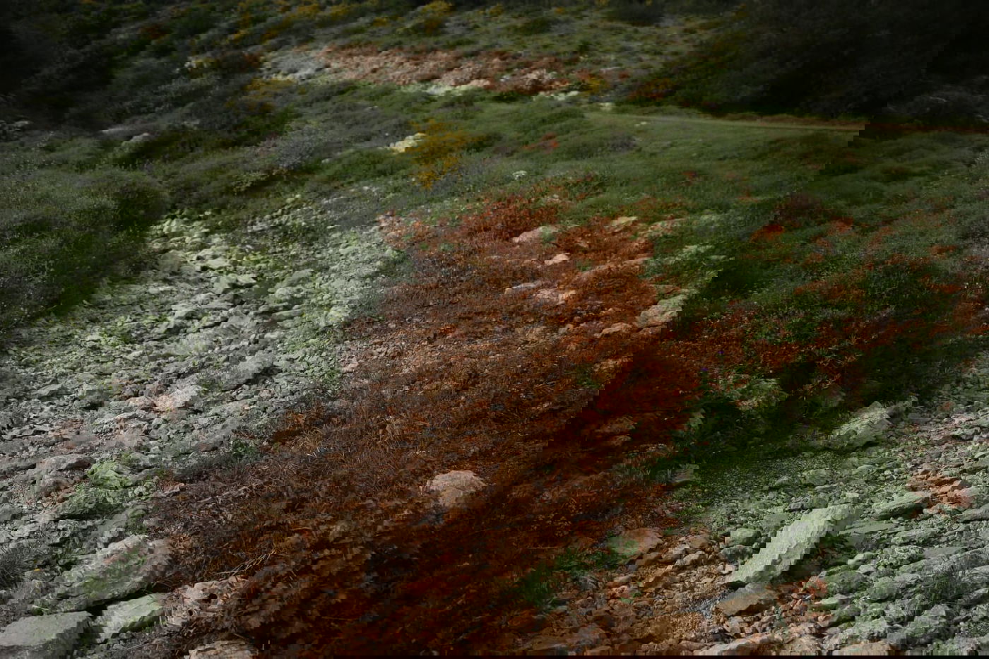 טיול דרך עדשת המצלמה לנחל חילזון