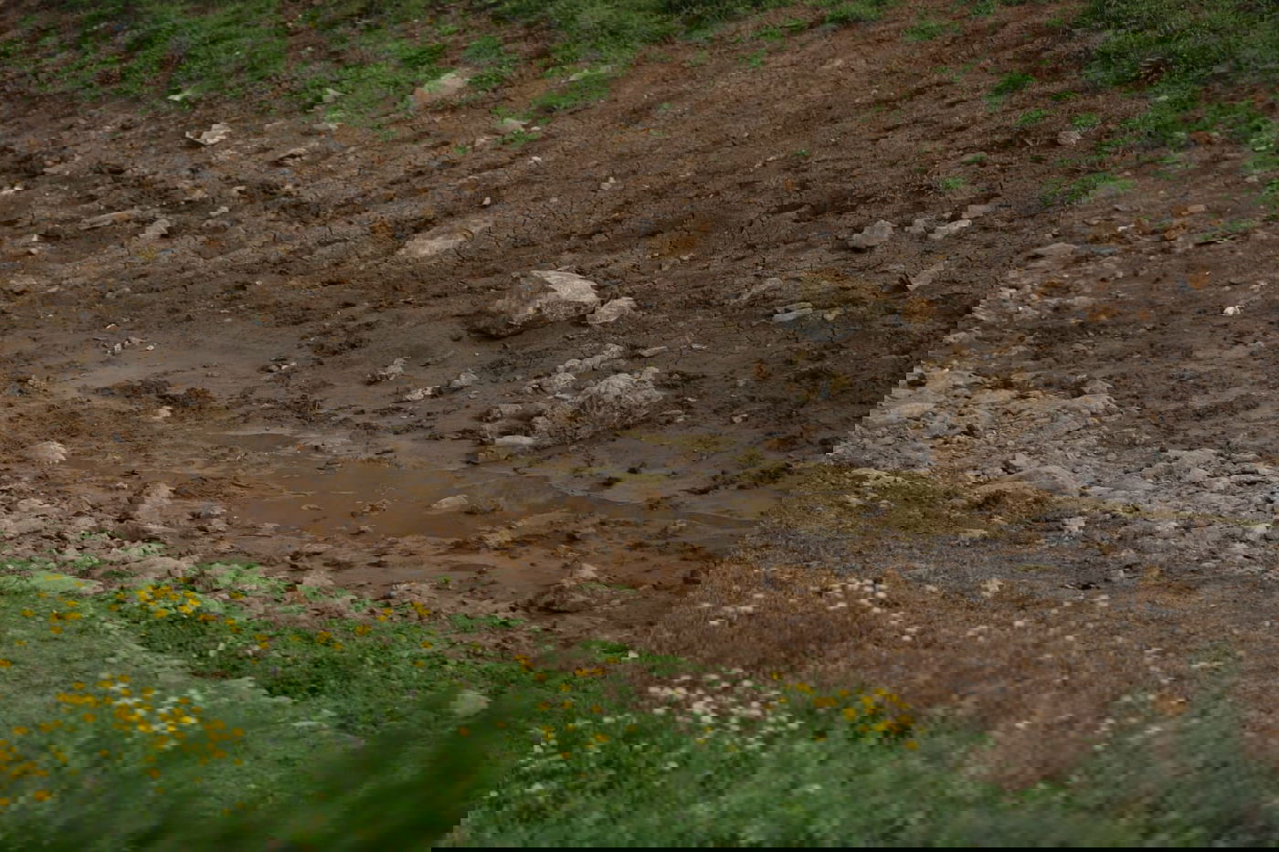 טיול דרך עדשת המצלמה לנחל חילזון