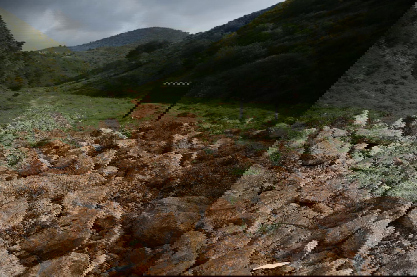 טיול דרך עדשת המצלמה לנחל חילזון