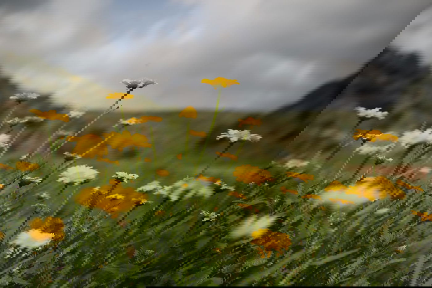 טיול דרך עדשת המצלמה לנחל חילזון