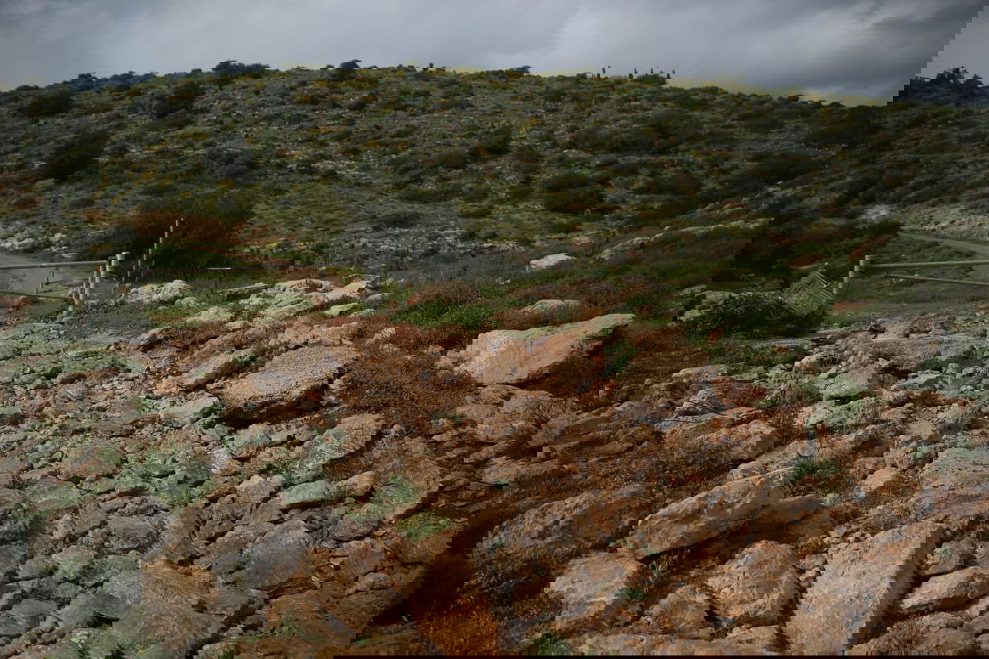 טיול דרך עדשת המצלמה לנחל חילזון