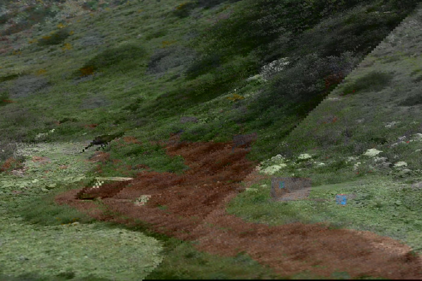 טיול דרך עדשת המצלמה לנחל חילזון