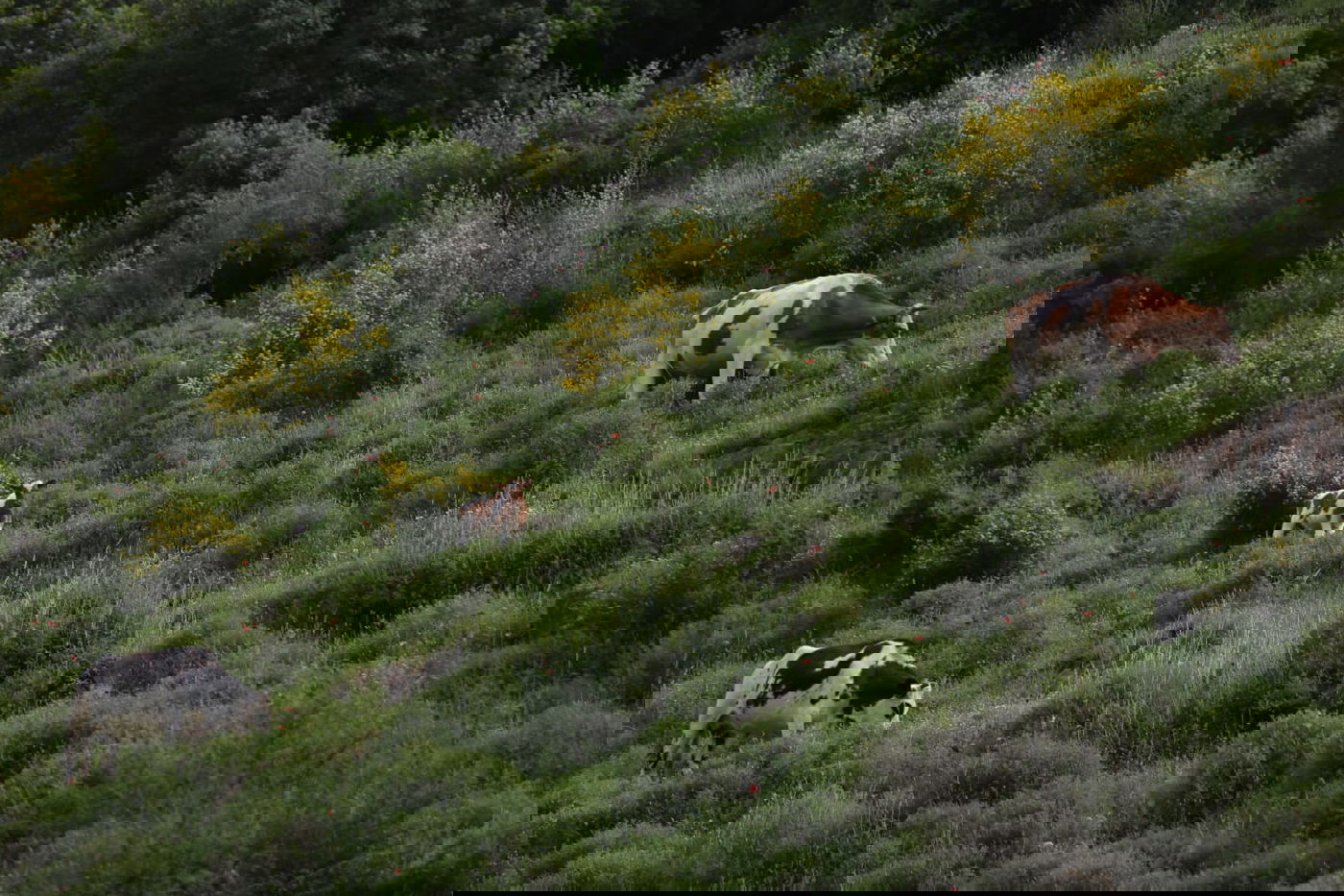 טיול דרך עדשת המצלמה לנחל חילזון