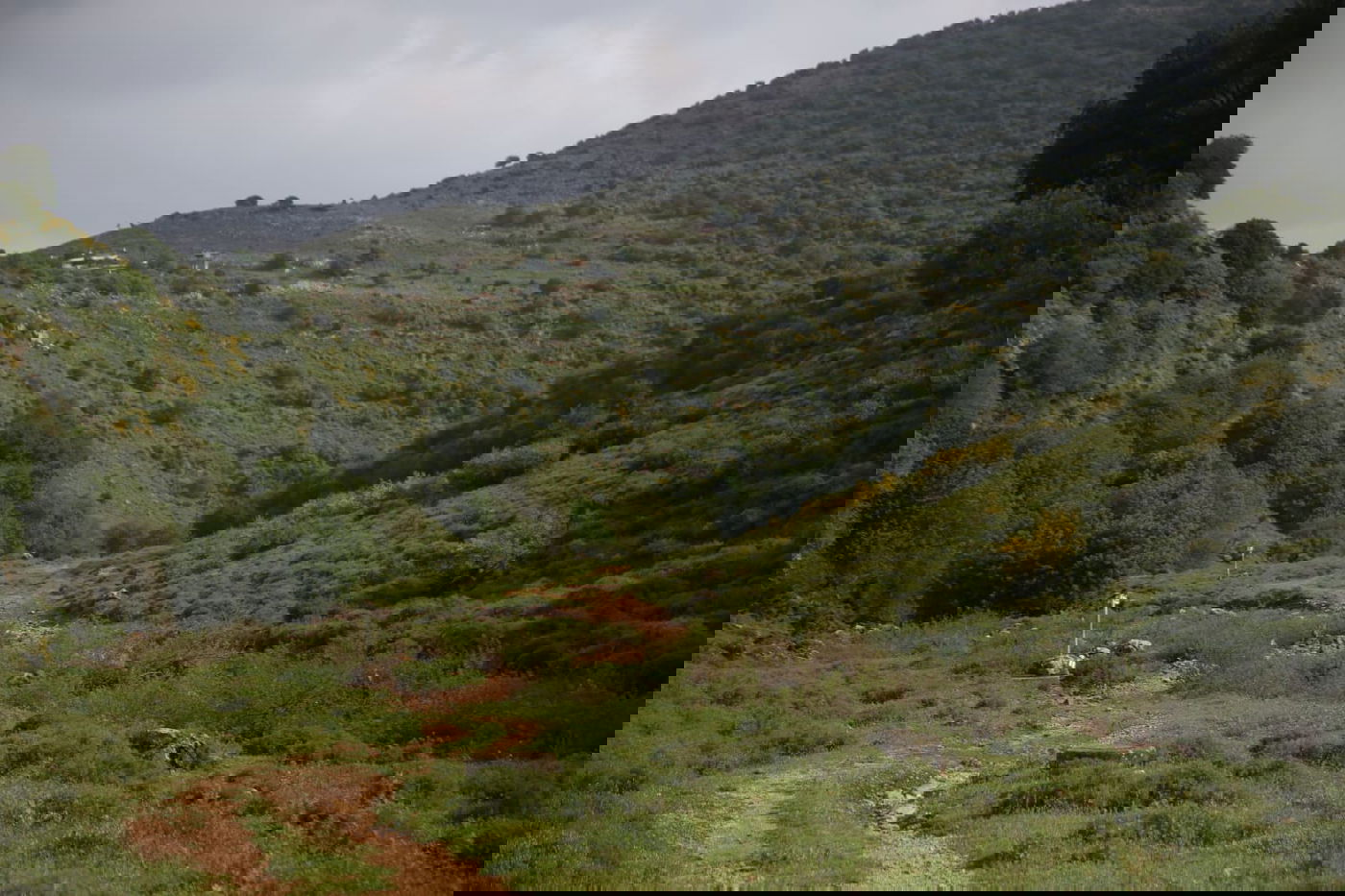 טיול דרך עדשת המצלמה לנחל חילזון