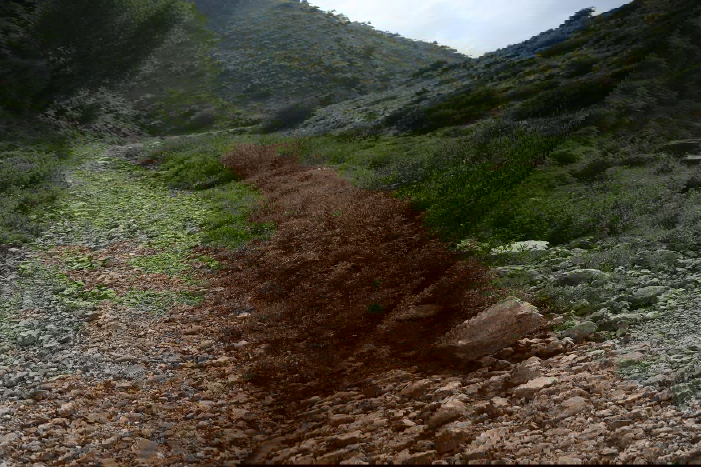 טיול דרך עדשת המצלמה לנחל חילזון