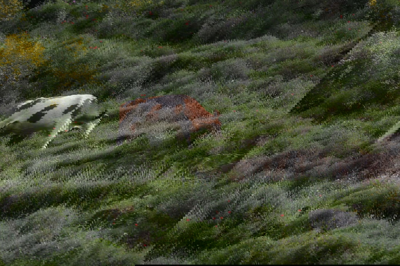 טיול דרך עדשת המצלמה לנחל חילזון