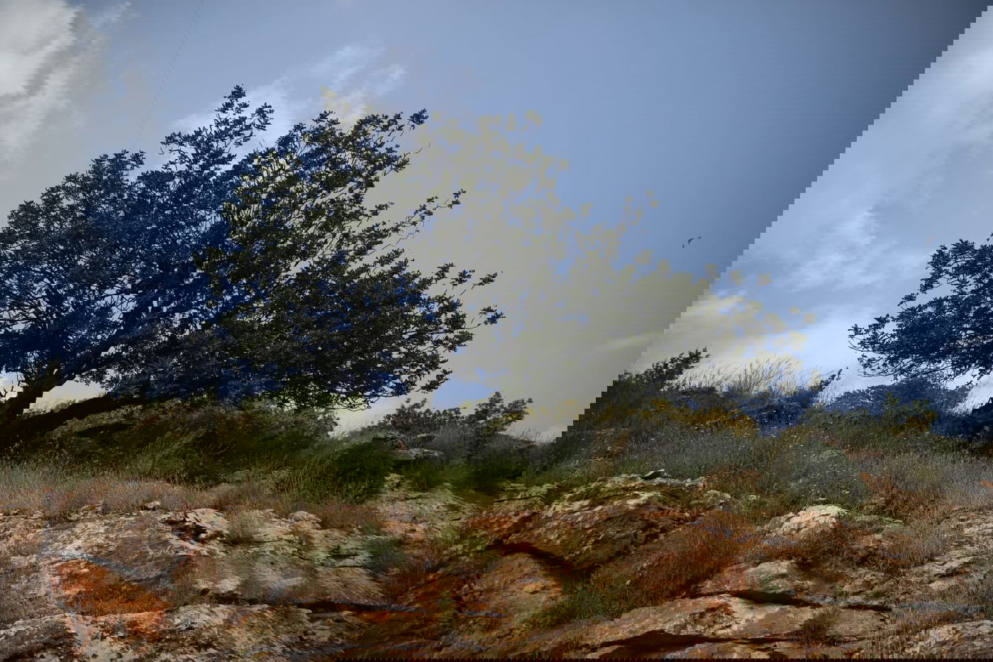 טיול דרך עדשת המצלמה לנחל חילזון