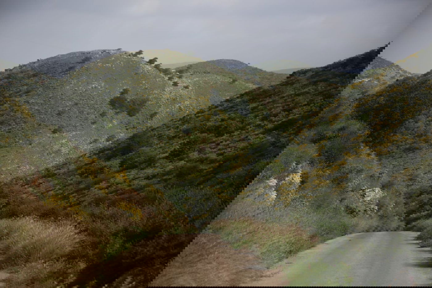 טיול דרך עדשת המצלמה לנחל חילזון