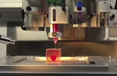 הישג אדיר: חוקרים ישראלים 'הדפיסו' לב חי • צפו