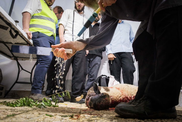 כך תרגלו הכוהנים את סדר הקרבת הפסח