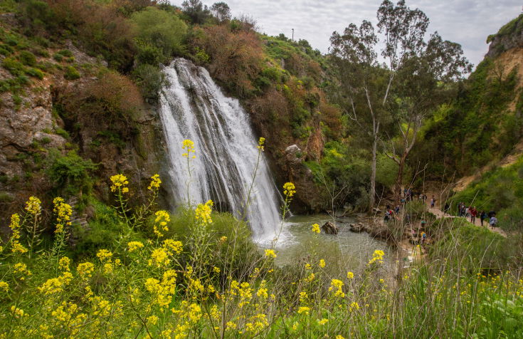 אילוסטרציה