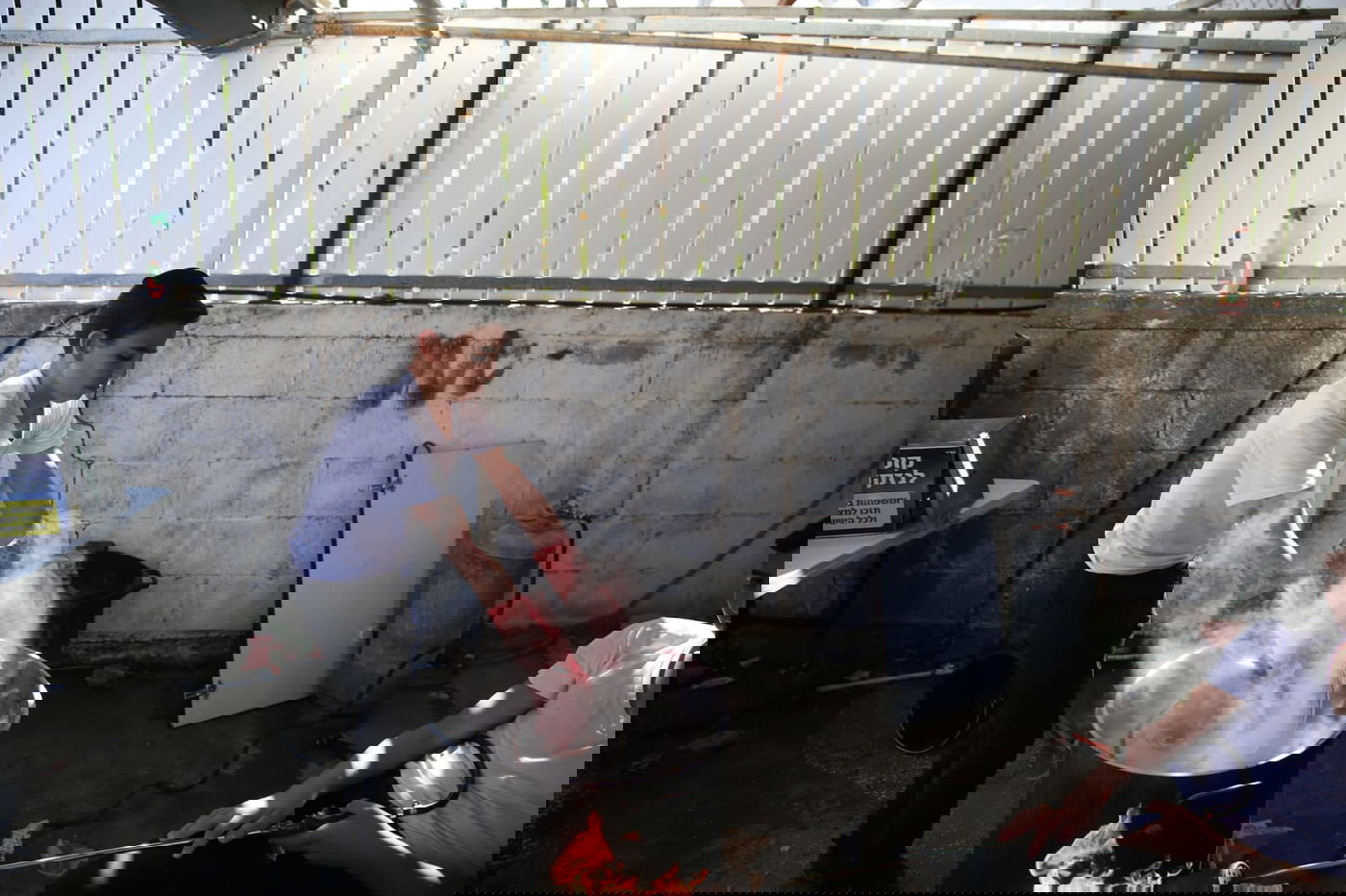 ערב פסח: כך מגעילים כלים בטבריה • צפו