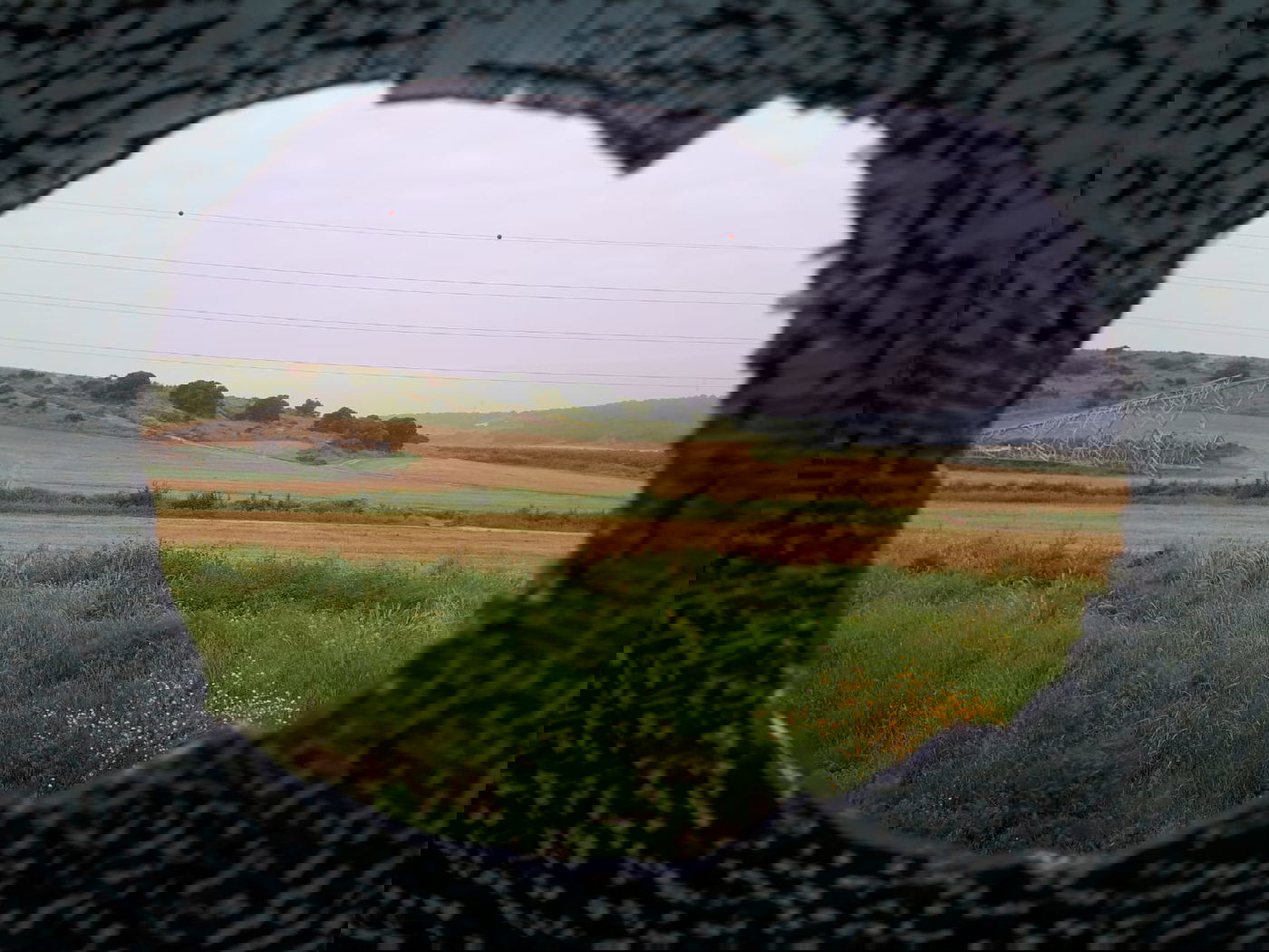 יידוי אבנים על האוטובוס מצפת לבני ברק