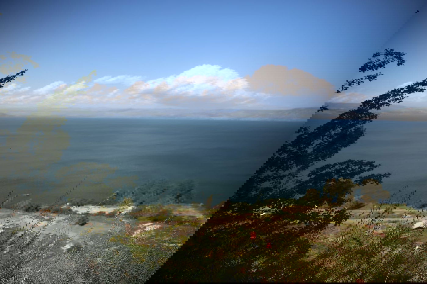 אחרי הגשם: תיעוד מצולם מהכינרת המלאה