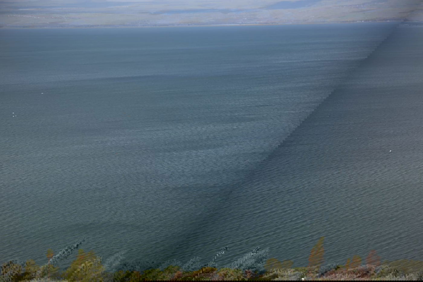 אחרי הגשם: תיעוד מצולם מהכינרת המלאה