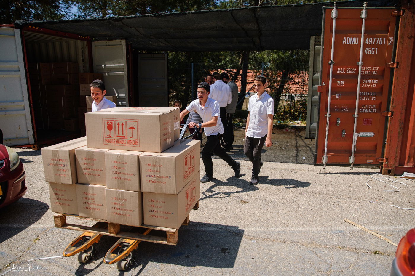 כך מחלקים החב"דניקים אלפי מצות שמורה