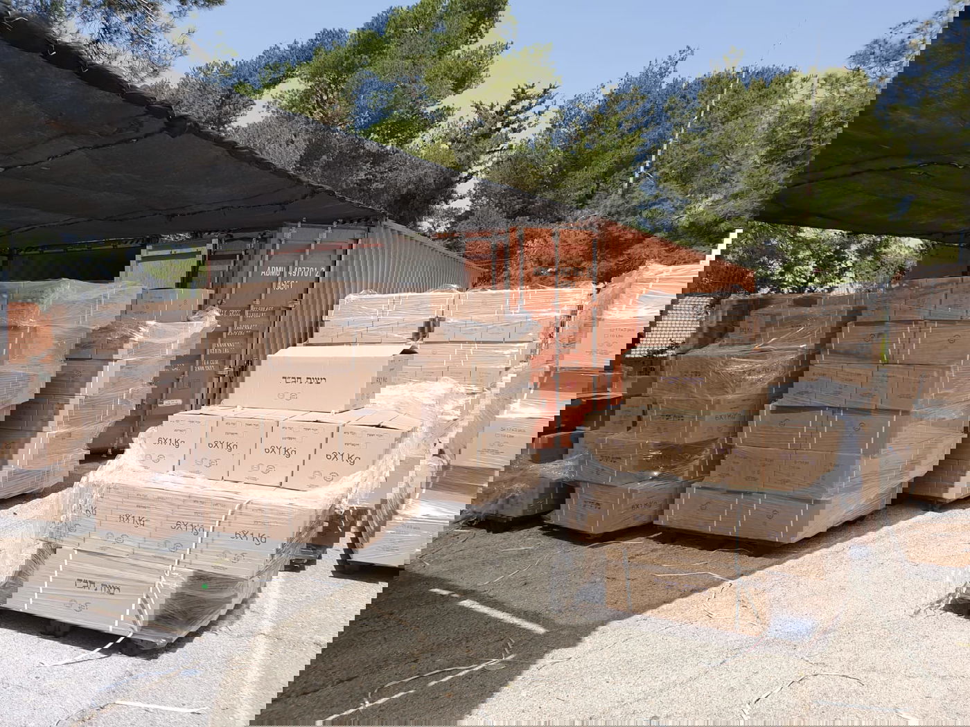 כך מחלקים החב"דניקים אלפי מצות שמורה