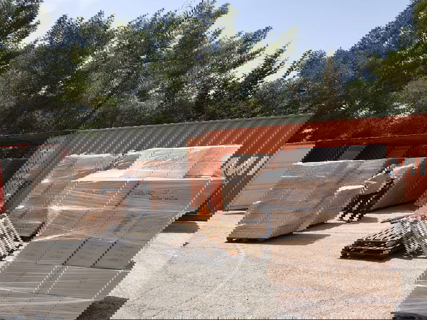 כך מחלקים החב"דניקים אלפי מצות שמורה