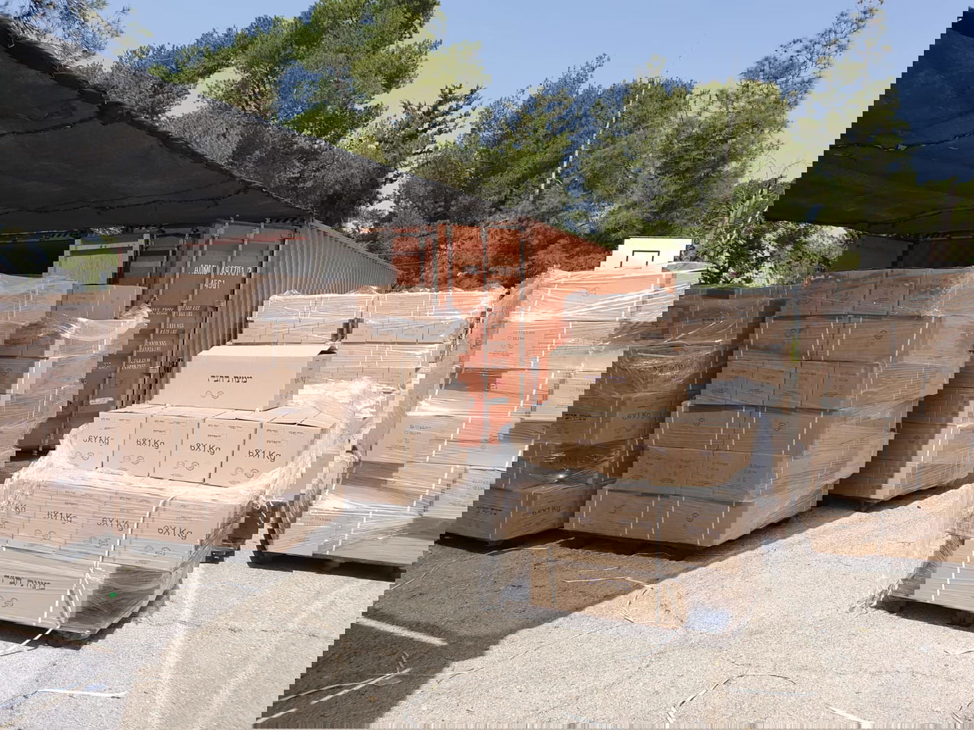 כך מחלקים החב"דניקים אלפי מצות שמורה