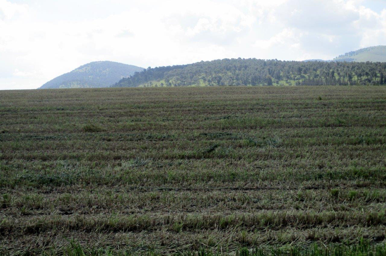 הצפון המרהיב וכמה מנחליו בגלריה מרהיבה