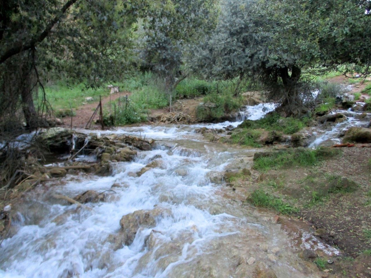 הנחלים פרוד ועצמון • גלריה מרהיבה