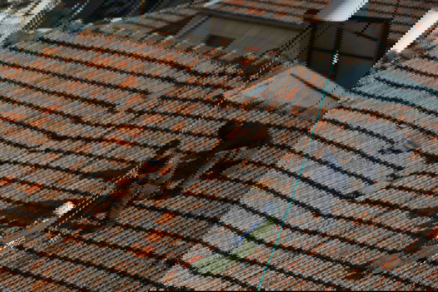 ביום שתלו את המן, תלו הקיצונים בובת חייל