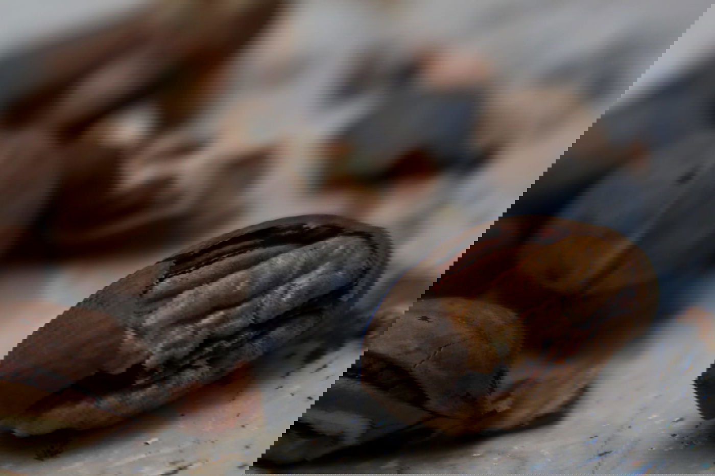 פסח: הילדים מפצחים את האגוזים והשקדים