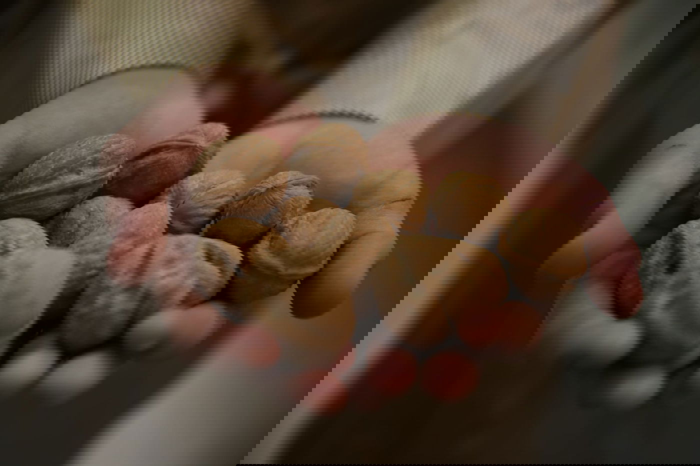 פסח: הילדים מפצחים את האגוזים והשקדים