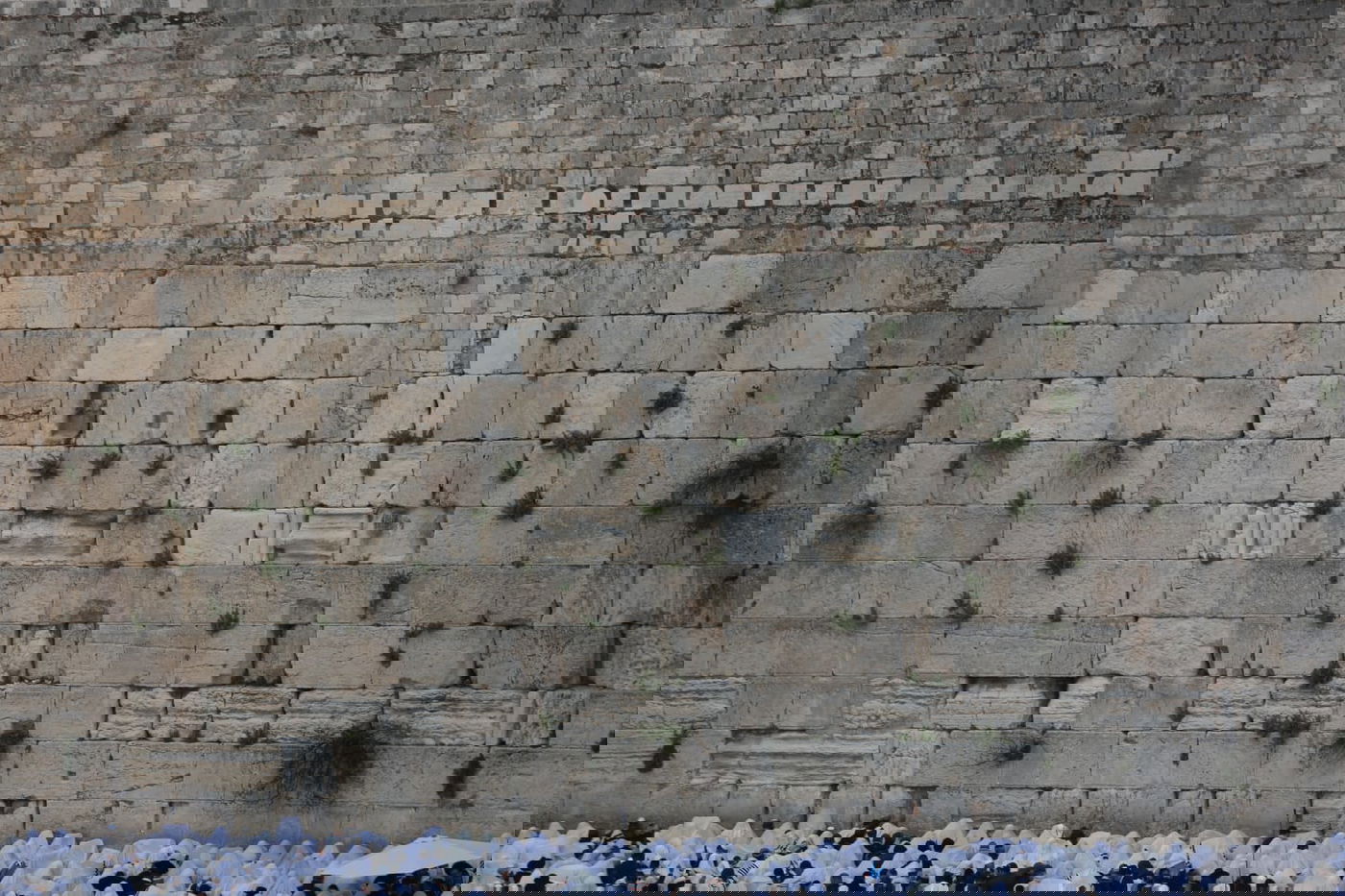 הברכה השנתית: צפו ב'ברכת כהנים' בכותל המערבי