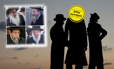 עולם החסידות בארץ ישראל • פרק ב': החצרות הבינוניות