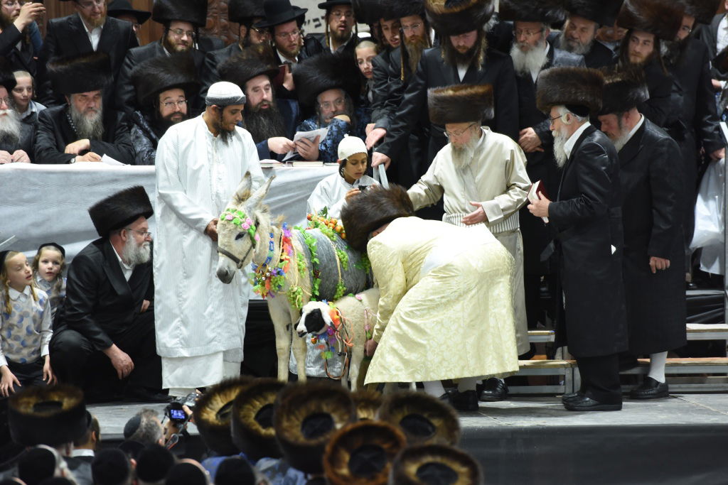 האדמו"ר מפינסק-קרלין פדה חמור בצאנז