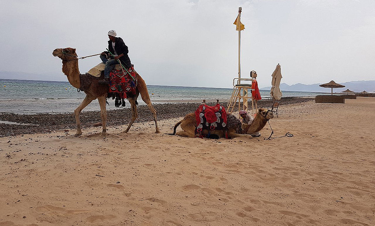 סיני, בחול המועד פסח