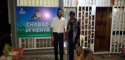 האבטחה, הלילה