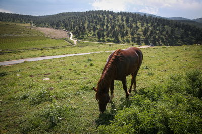 נוף יפיפה ליד היישוב קדיתא בצפון