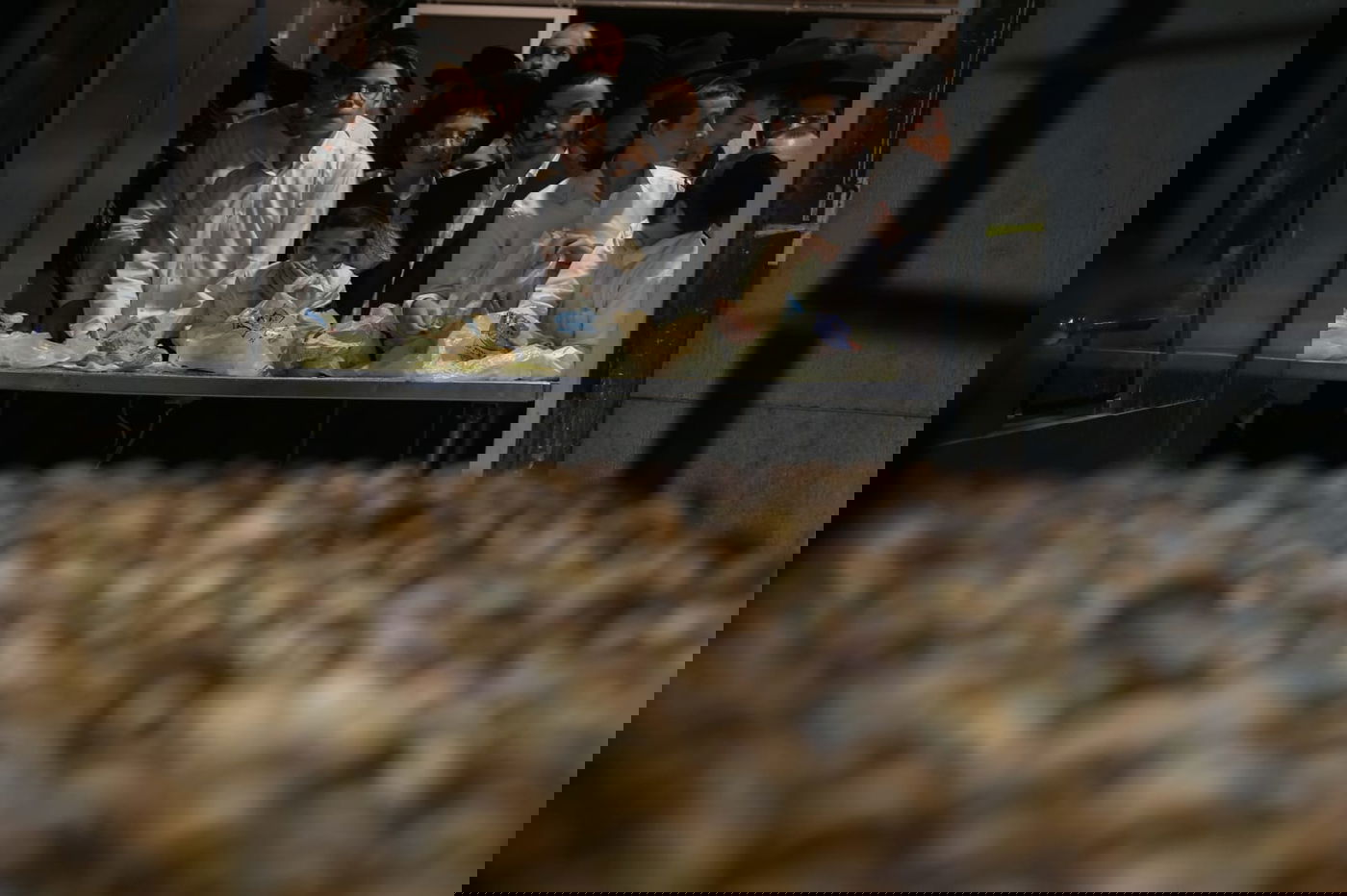 גלריה מרהיבה: הבהלה לחמץ - בירושלים