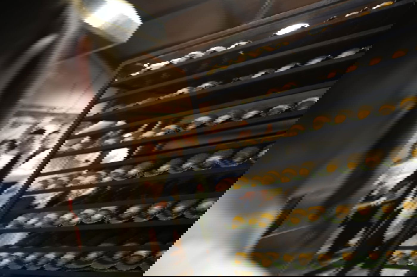 גלריה מרהיבה: הבהלה לחמץ - בירושלים