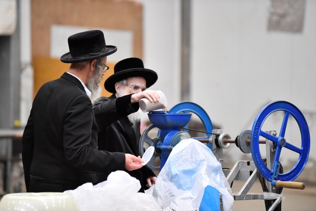 מההכנה עד לחג: פסח עם האדמו"ר מויז'ניץ