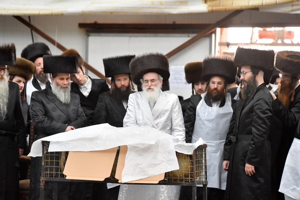 מההכנה עד לחג: פסח עם האדמו"ר מויז'ניץ