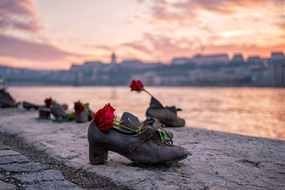 לימדו אותי לקחת את החיים בפרופורציה לשואה