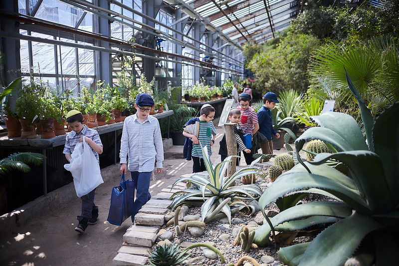מוסקבה: הילדים אמרו ברכת אילנות בגן הבוטני