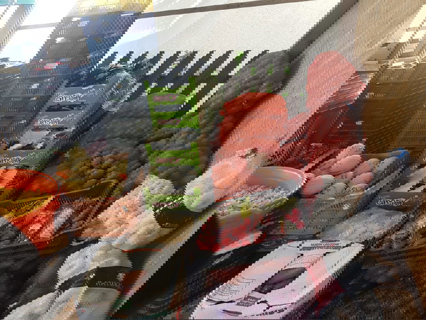 יום ההילולא בציון הקערעסטירער • צפו