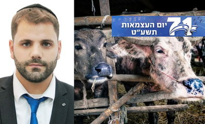 "בעצמאות הקרוב אני לא נוגע בבשר": המשגיח שנהפך לצמחוני