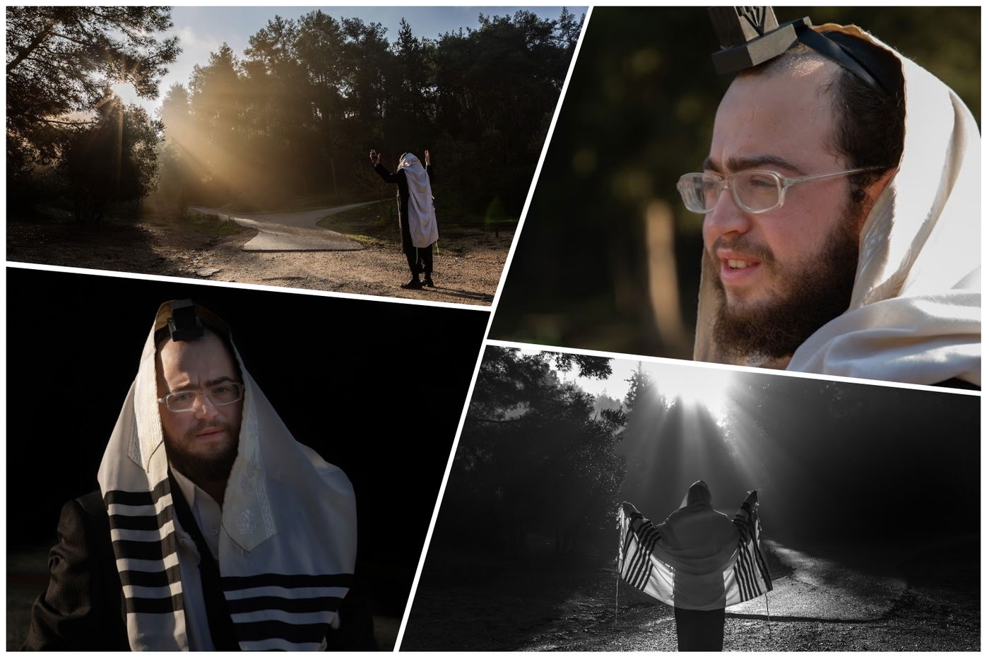 תמונות הצלמים