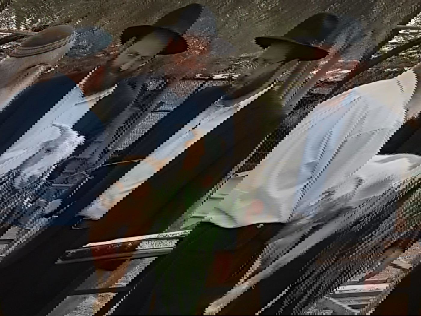 מעמד נתינת בכורי בהמה טהורה לכהן. צפו