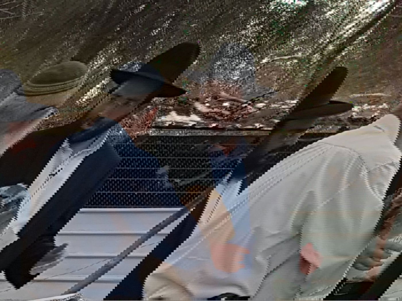 מעמד נתינת בכורי בהמה טהורה לכהן. צפו