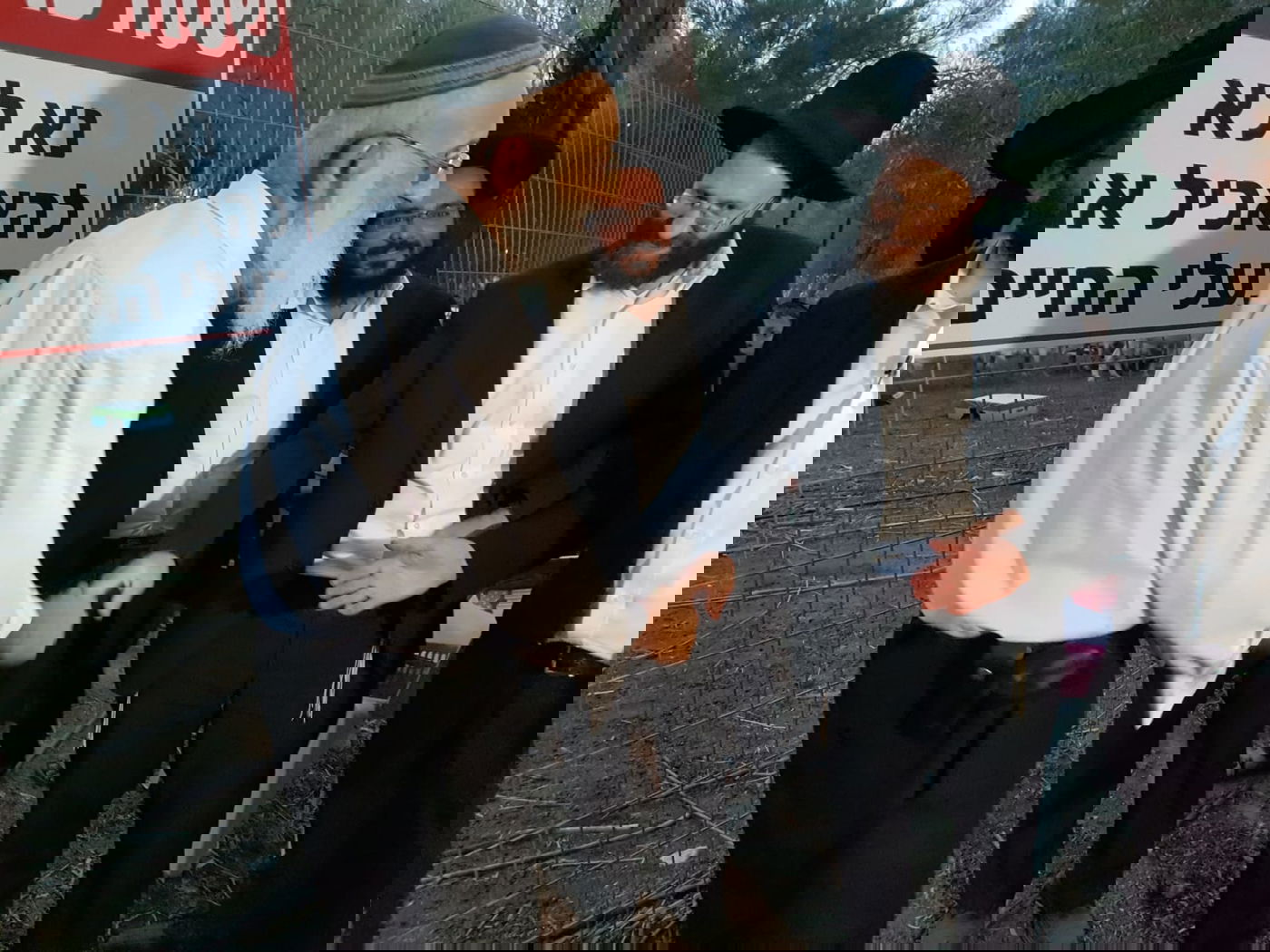 מעמד נתינת בכורי בהמה טהורה לכהן. צפו