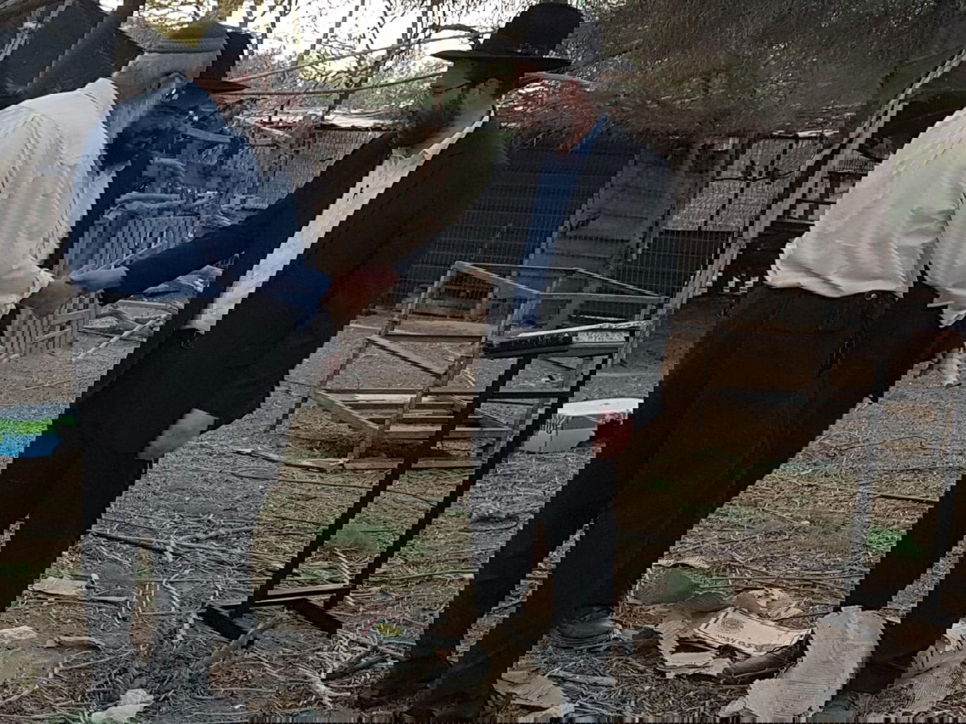 מעמד נתינת בכורי בהמה טהורה לכהן. צפו