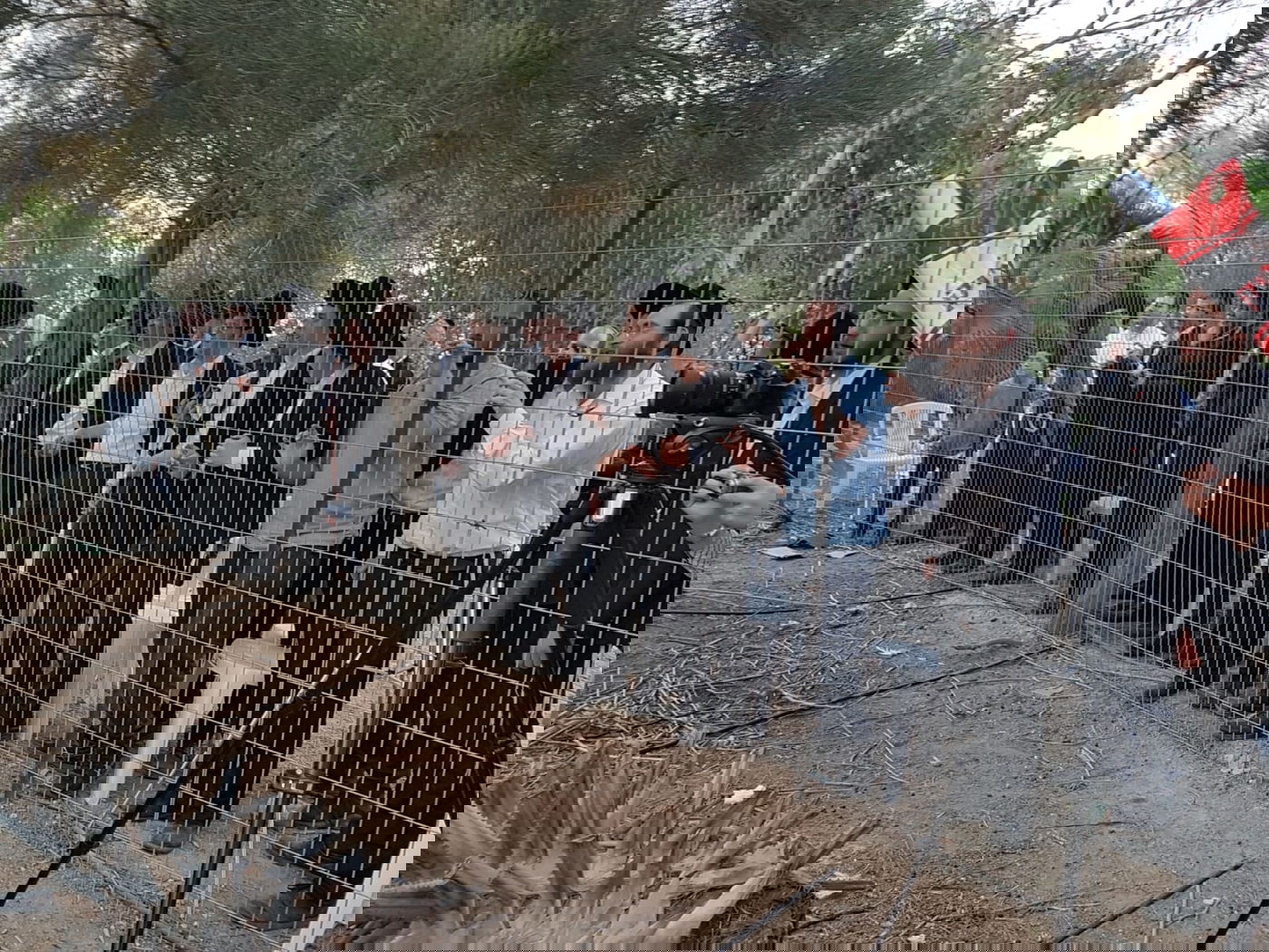 מעמד נתינת בכורי בהמה טהורה לכהן. צפו