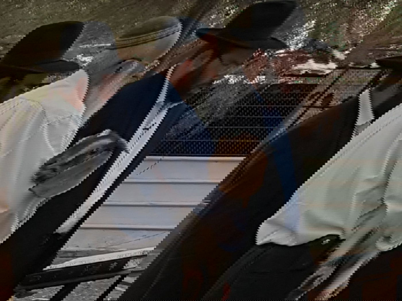 מעמד נתינת בכורי בהמה טהורה לכהן. צפו