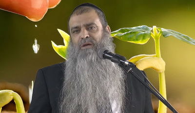 הרב רפאל זר בפינה לפרשת אמור • צפו